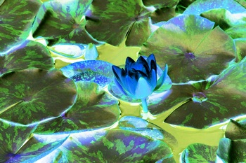 F 029B